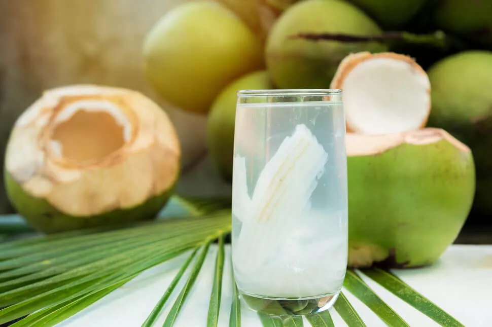 Manfaat Minum Air Kelapa Muda bagi Kesehatan dan Detoksifikasi Alami