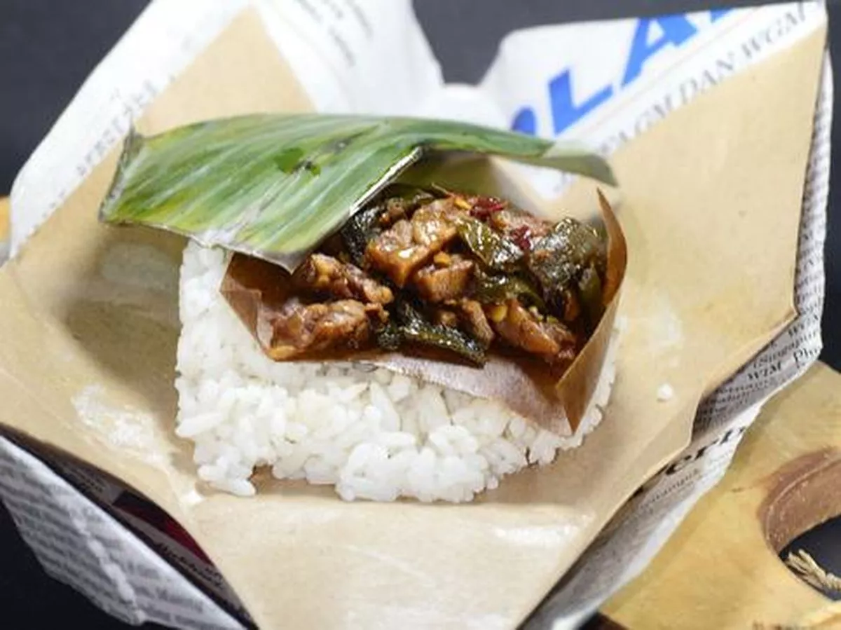 Bolehkah Kucing Kampung Makan Nasi? Ini Fakta Nutrisinya