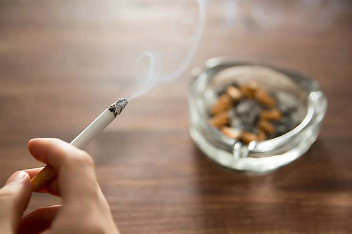 Dampak Kecanduan Rokok Terhadap Organ Paru-Paru Dan Jantung