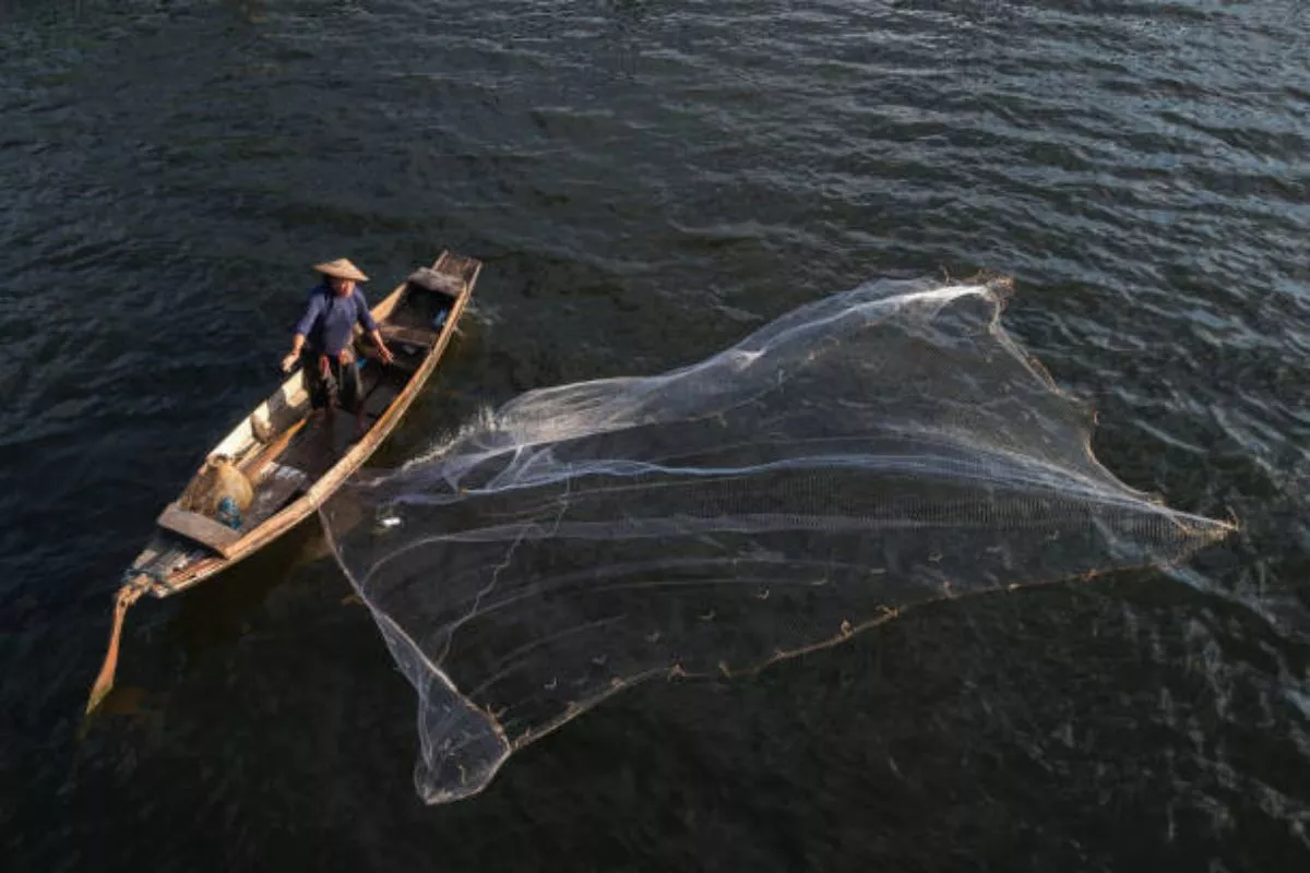 Uji Coba 65 KNMP Kirim 273,6 Ton Ikan Senilai Rp11,1 Miliar ke Pasar
