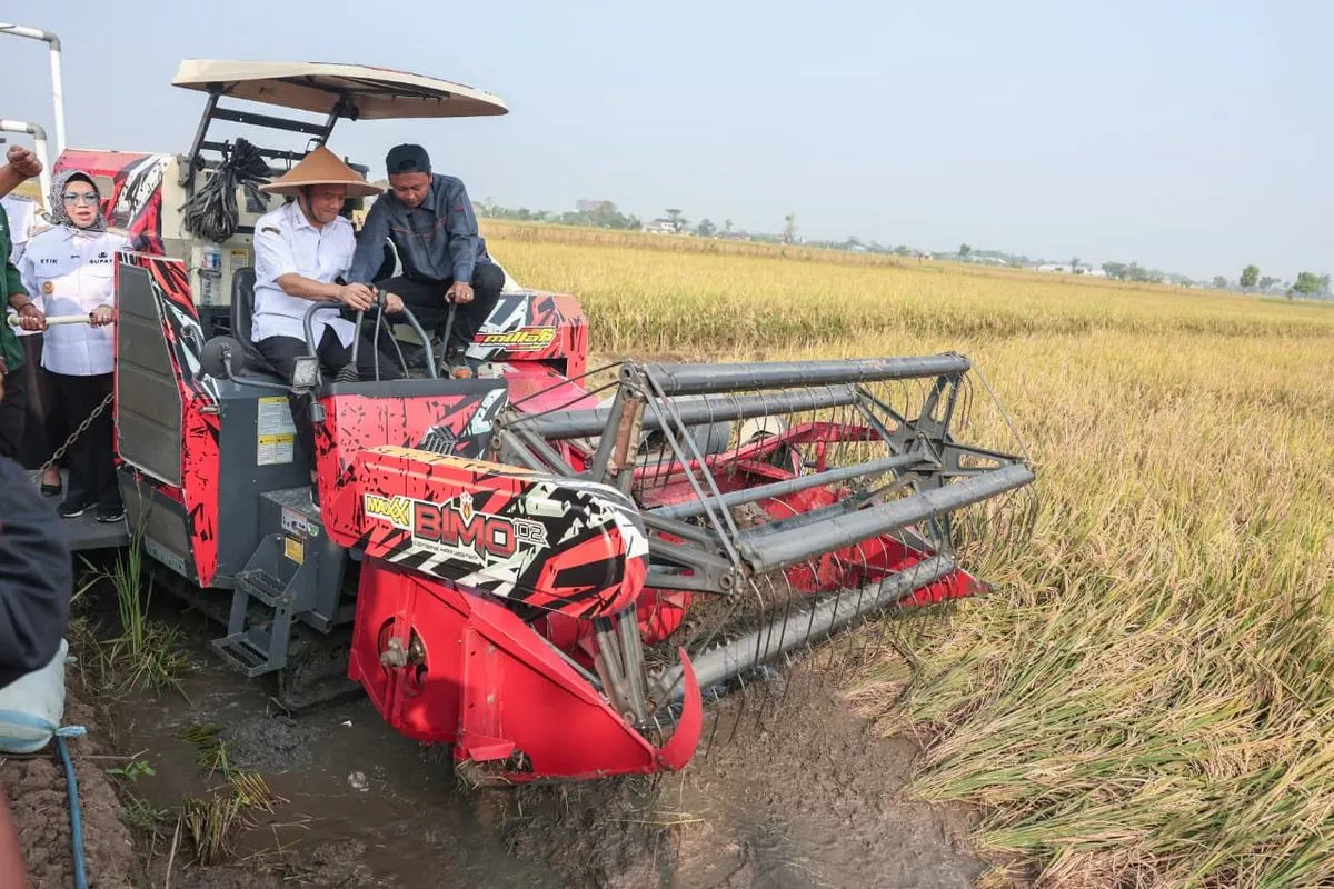 Ahmad Luthfi Sebut Produksi Padi Jawa Tengah Raih 6,69 Juta Ton