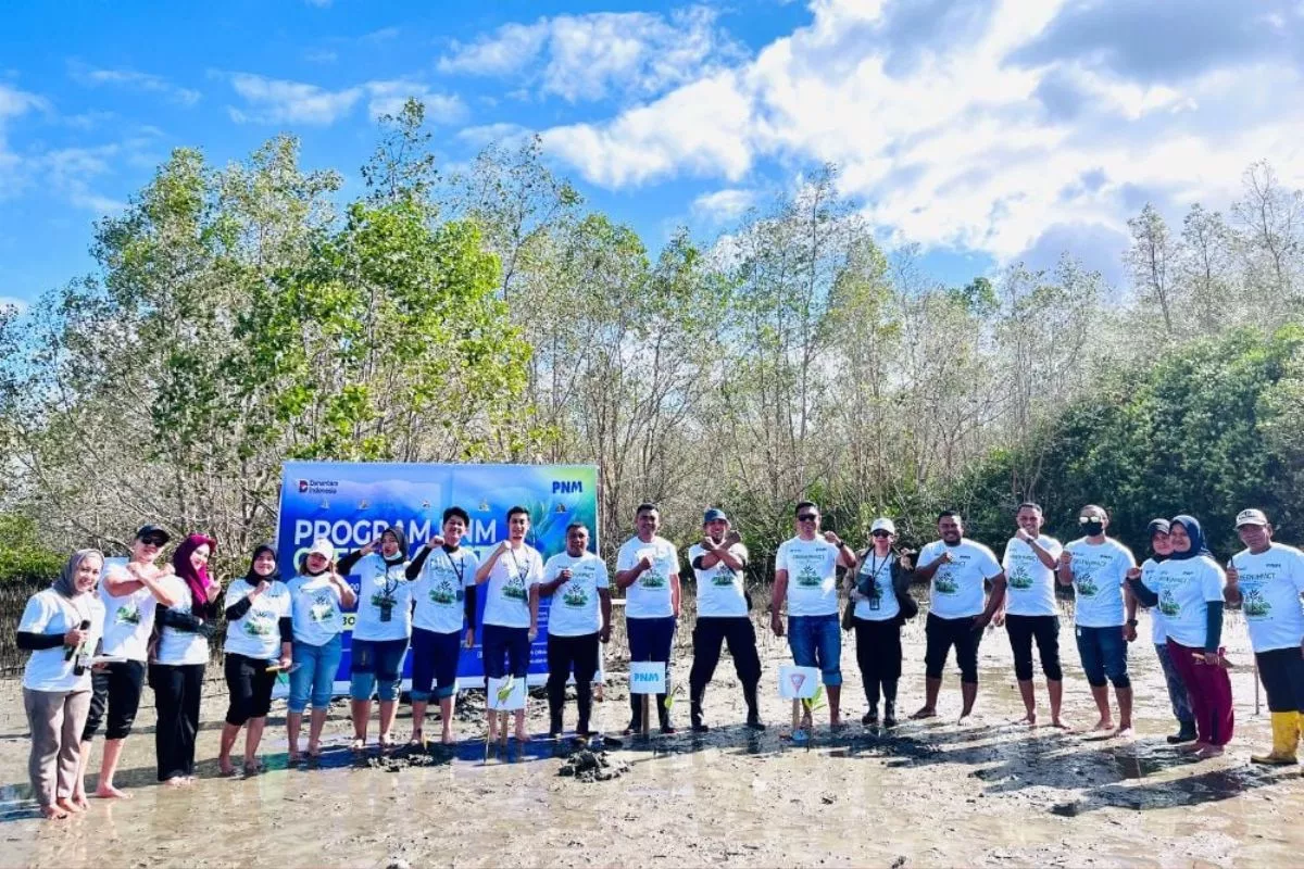 PNM Tanam 22.000 Mangrove di 18 Titik Pesisir untuk Ekonomi & Alam