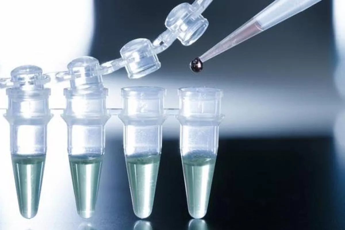 Dokter Ungkap Manfaat Terapi Stem Cell hingga Eksosom bagi Tubuh