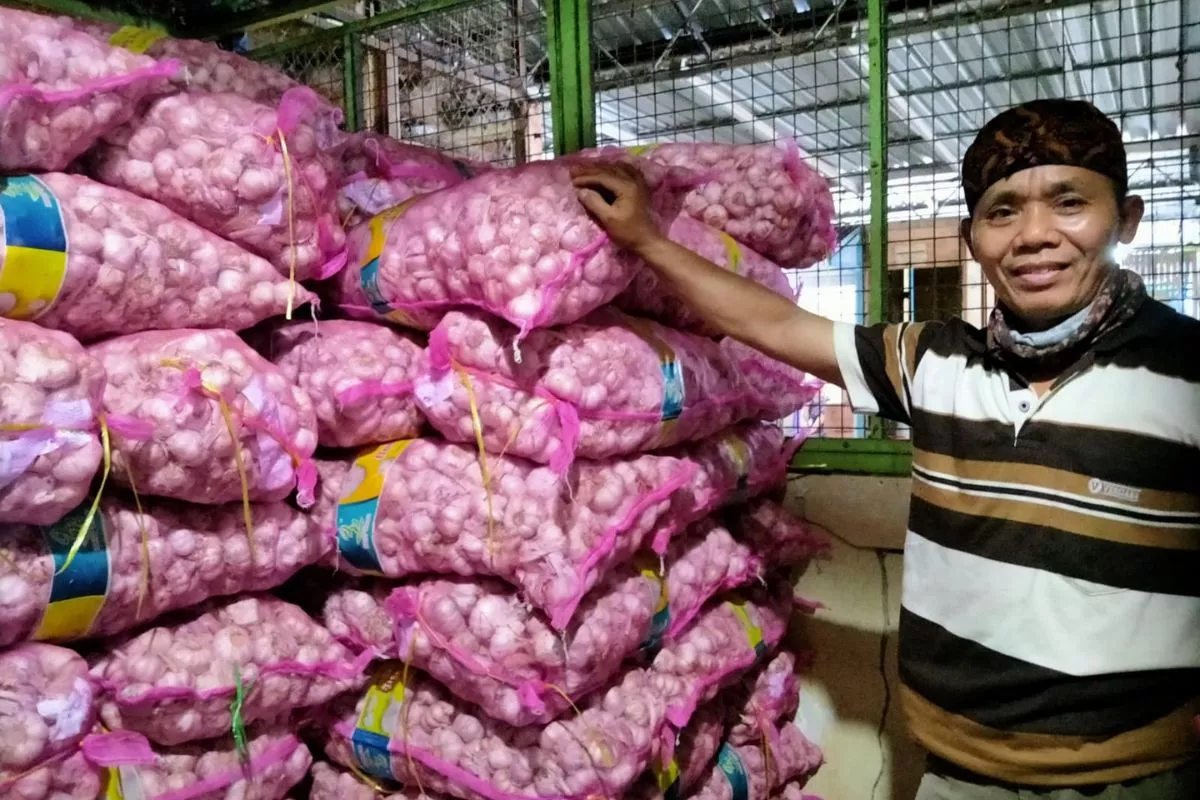 Pemkab Garut Rencanakan Uji Coba Budidaya Hortikultura Korea