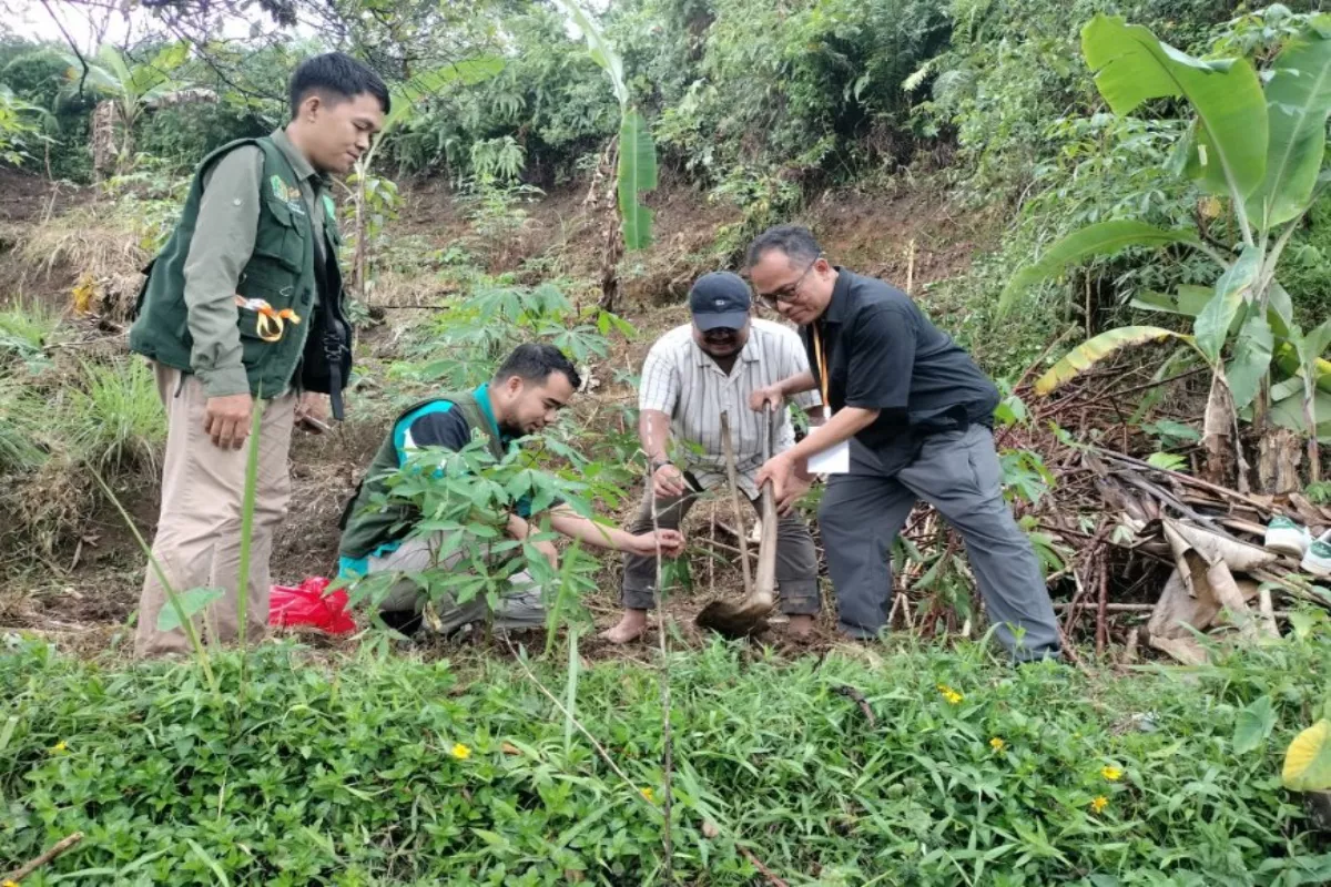 Memacu Transisi Energi Surya Lewat Green Waqf Sukuk di Indonesia