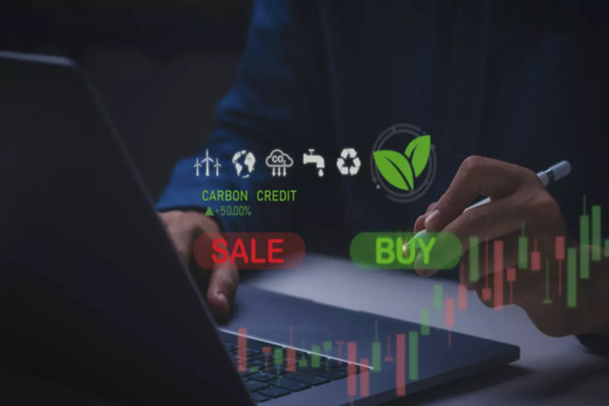 RI Bidik Pemain Pasar Karbon Global lewat Industri Pulp