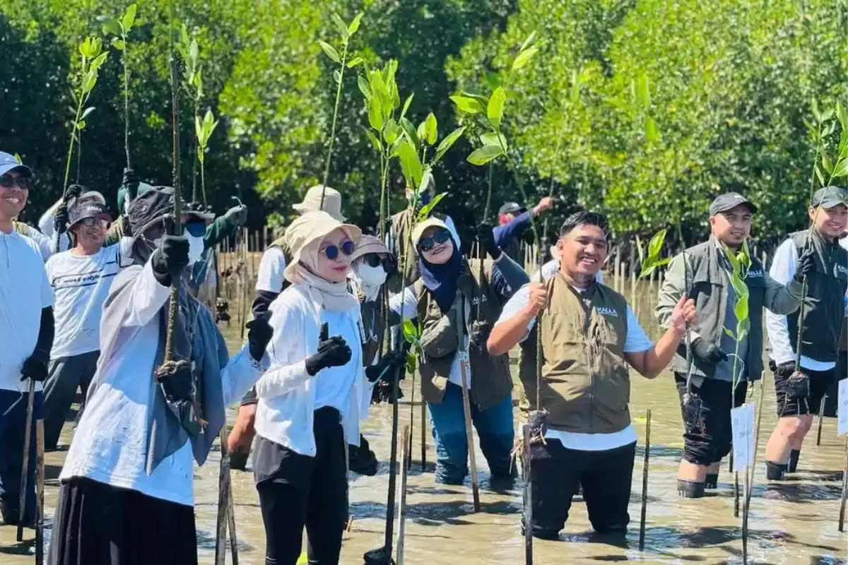 Komitmen ESG, Kalla Translog Tanam 31.000 Mangrove di Pangkep
