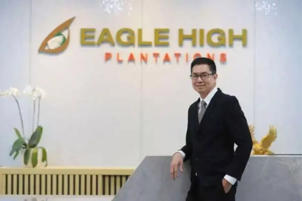 BWPT Rancang Dividen Interim Usai Tuntaskan Kuasi Reorganisasi