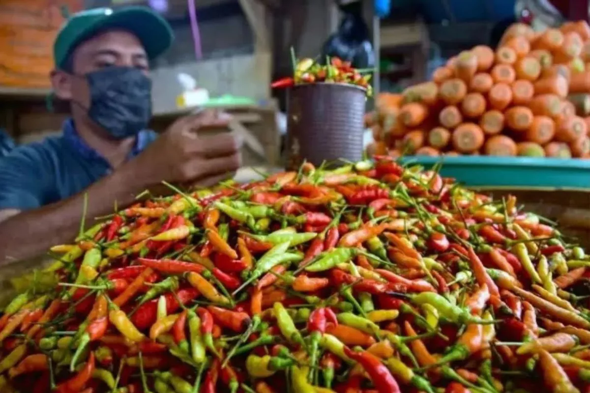 Rincian PIHPS Terbaru: Cabai Rawit Merah Sentuh Rp 75.000 Per Kg