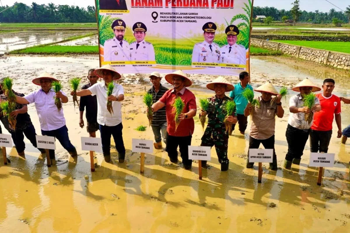 Mentan Pastikan Penanganan Sawah Terdampak di Aceh Berjalan Bertahap