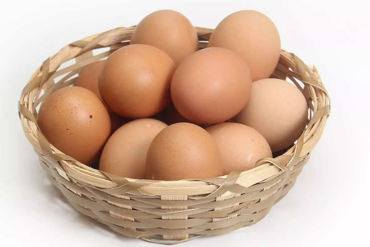Program MBG Kembali Berjalan Mendorong Kenaikan Harga Ayam dan Telur