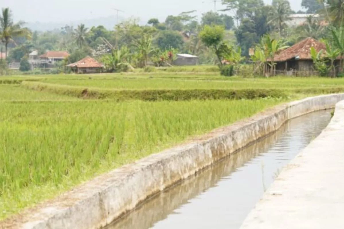 Hadapi El Nino, Pemerintah Genjot Infrastruktur Air demi Jaga Pangan