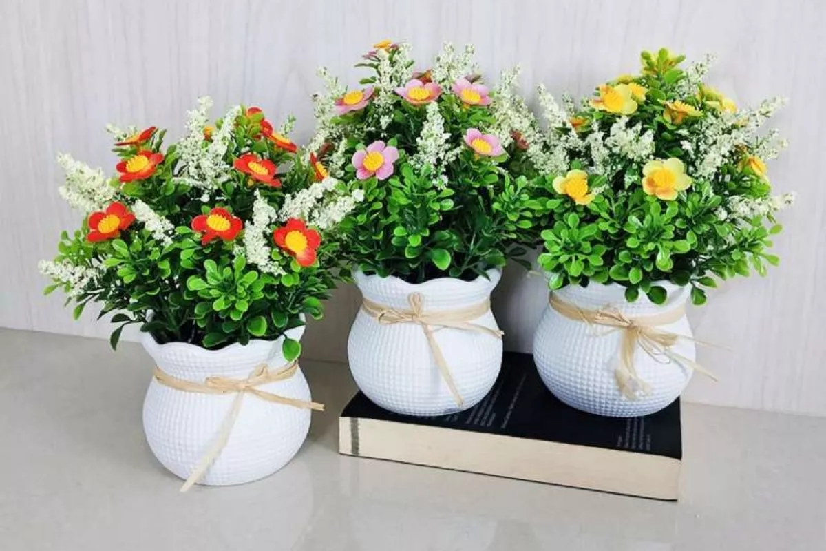 10 Bunga Pot Kecil Terbaik untuk Pemula, Cantik dan Mudah!