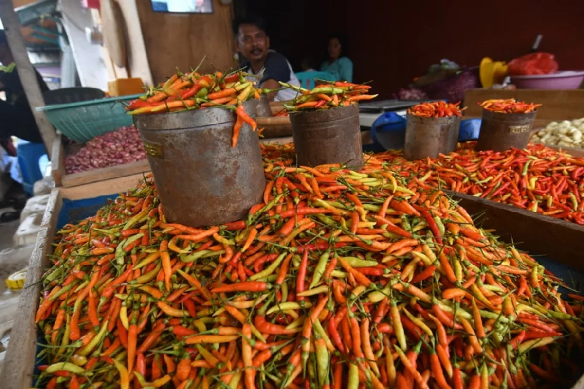 Harga Pangan Nasional Terbaru: Cabai Rawit Merah Rp65 Ribu per Kg