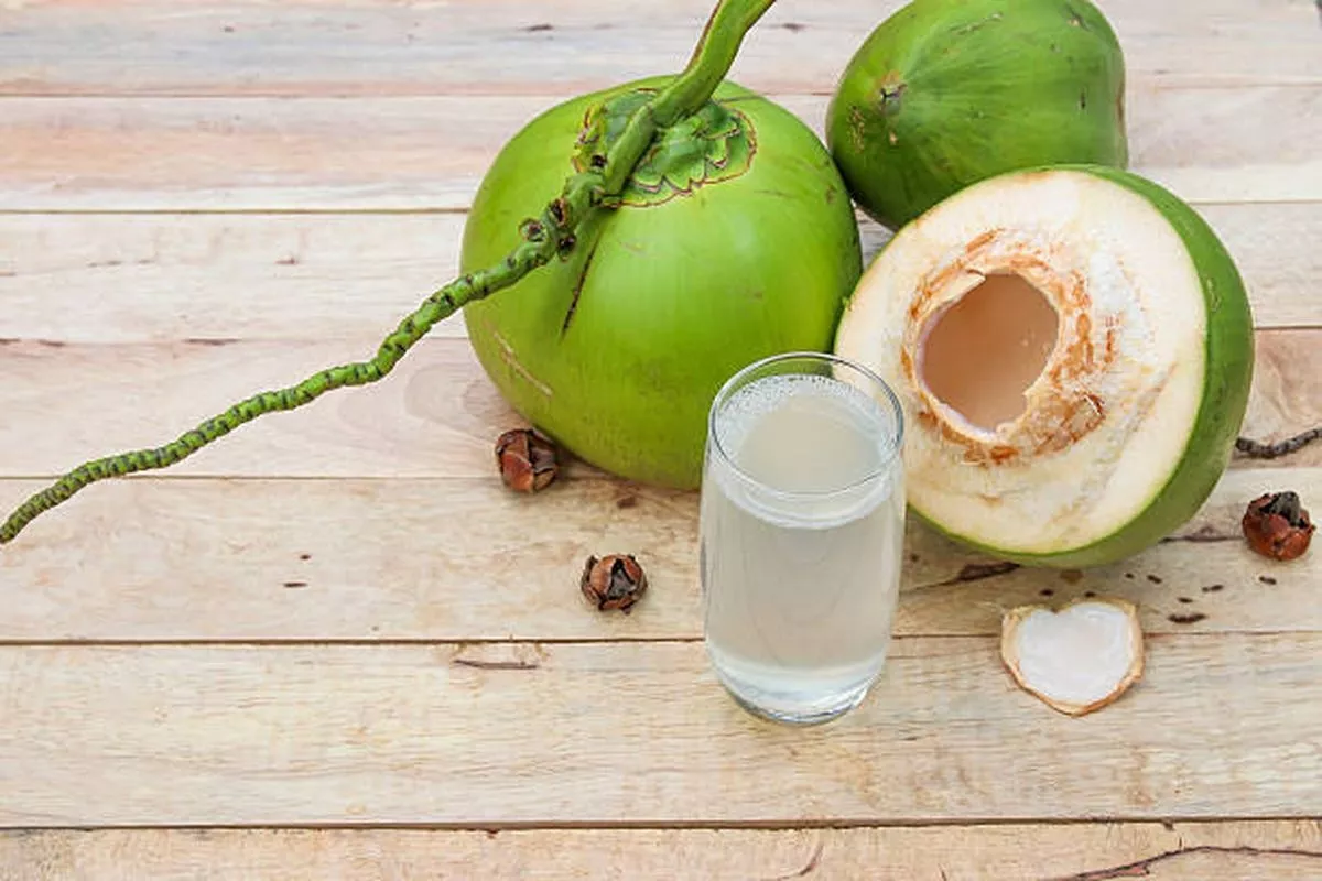 Ketahui Batas Aman Konsumsi Air Kelapa Setiap Hari bagi Kesehatan