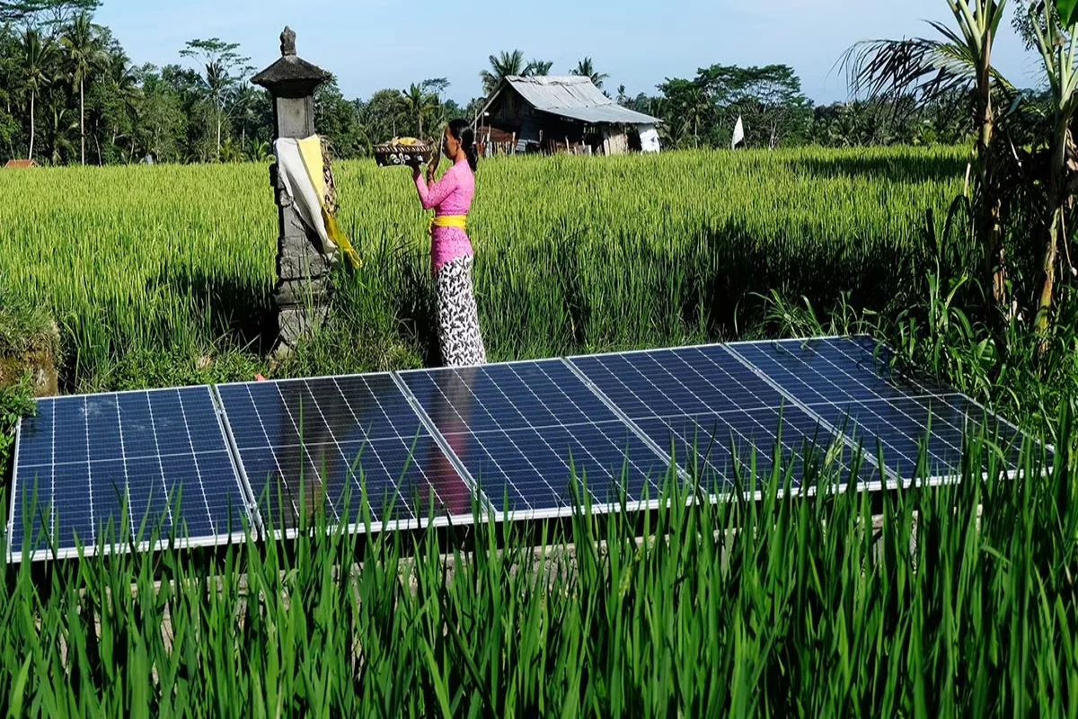 Strategi Tenaga Kerja Indonesia Pimpin Transisi Energi Hijau