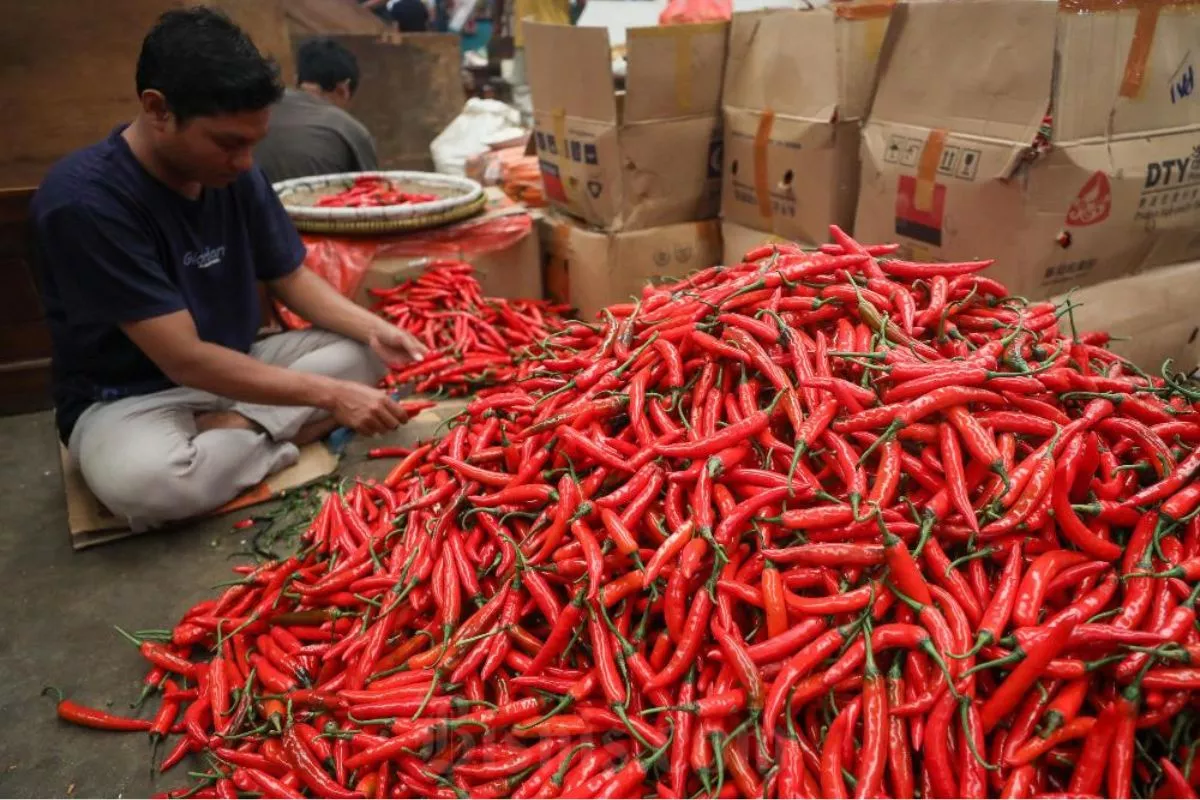 Cabai Rawit Merah Turun, Harga Ayam Ras dan Beras Naik