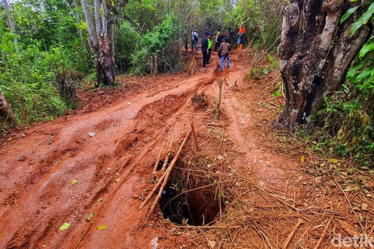 Tahura Bukit Soeharto Dipulihkan, Otorita IKN Tanam Bibit Pohon