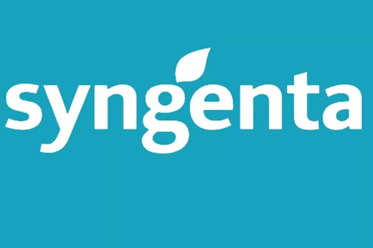 Syngenta Luncurkan Miravis Duo untuk Genjot Produktivitas Padi Petani
