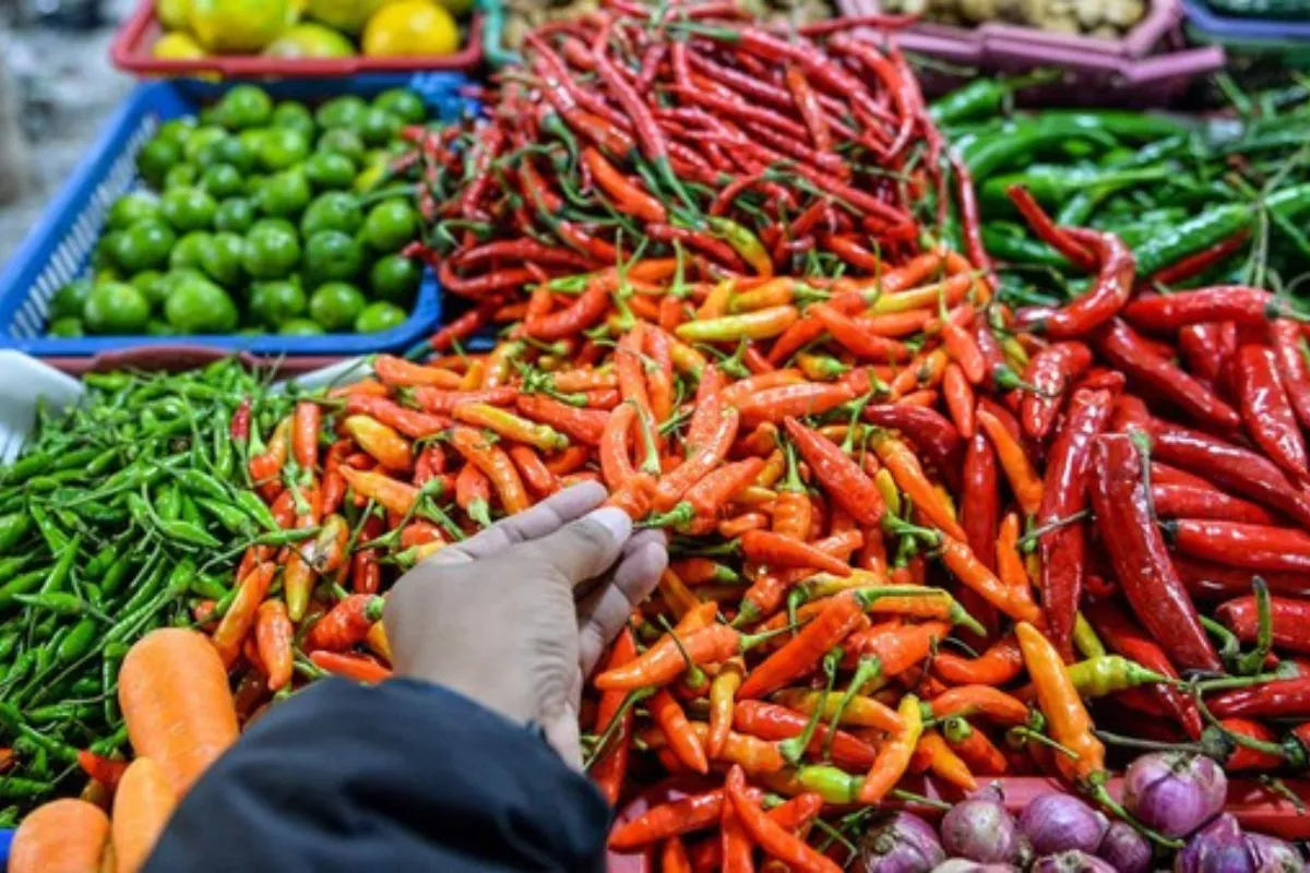 Harga Sembako Jatim 12 Mei 2026 Bawang Merah dan Cabai Merangkak Naik
