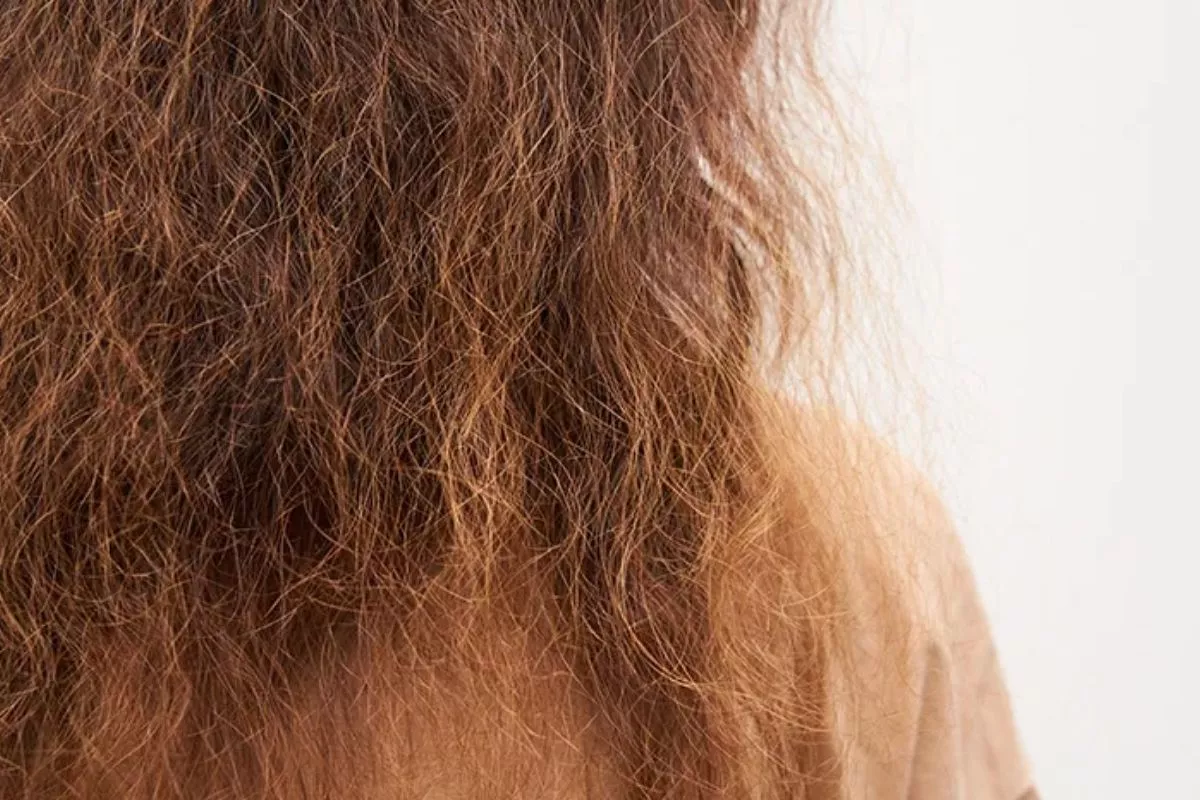 Cara Tepat Atasi Rambut Kering dan Kusut secara Konsisten
