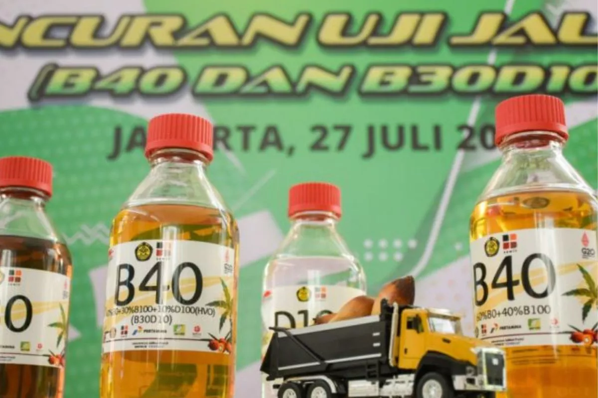 Produksi CPO Sumsel Capai 6,58% Nasional, Jadi Modal Dukung B50