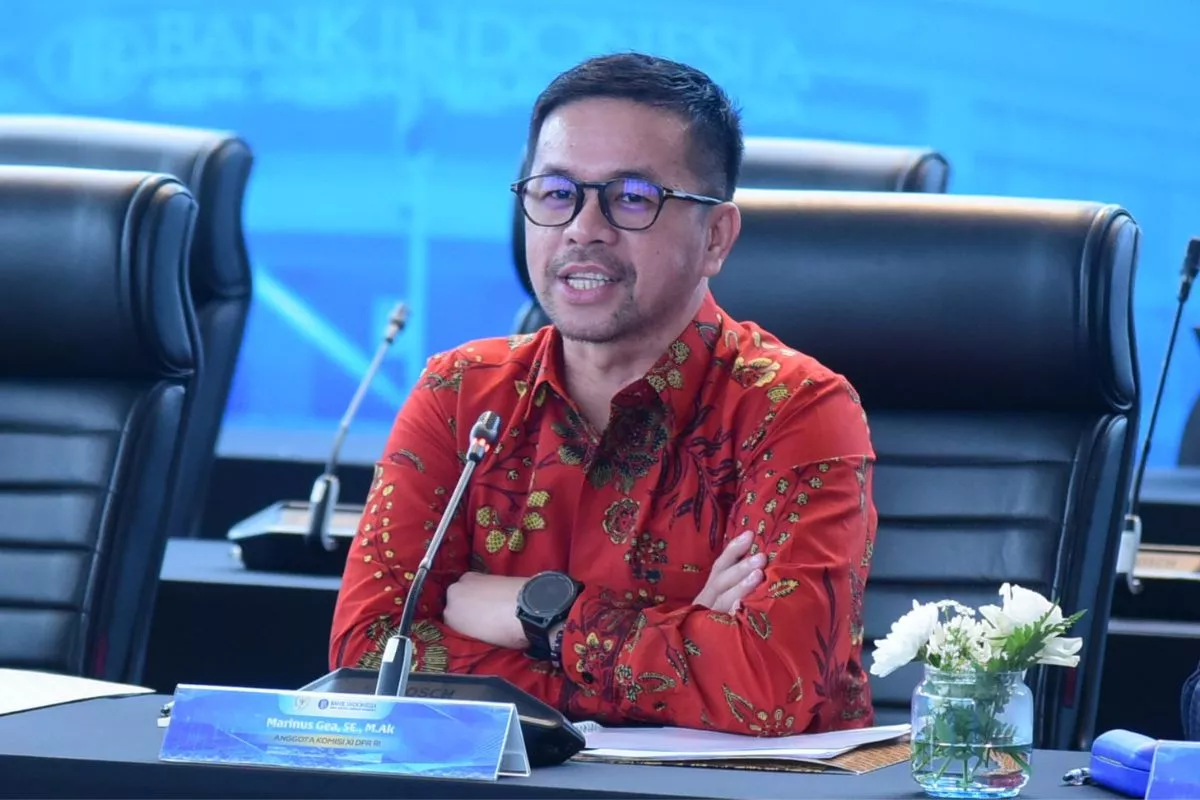 Main Hakim Sendiri di Bali, Anggota DPR Minta Usut Tuntas