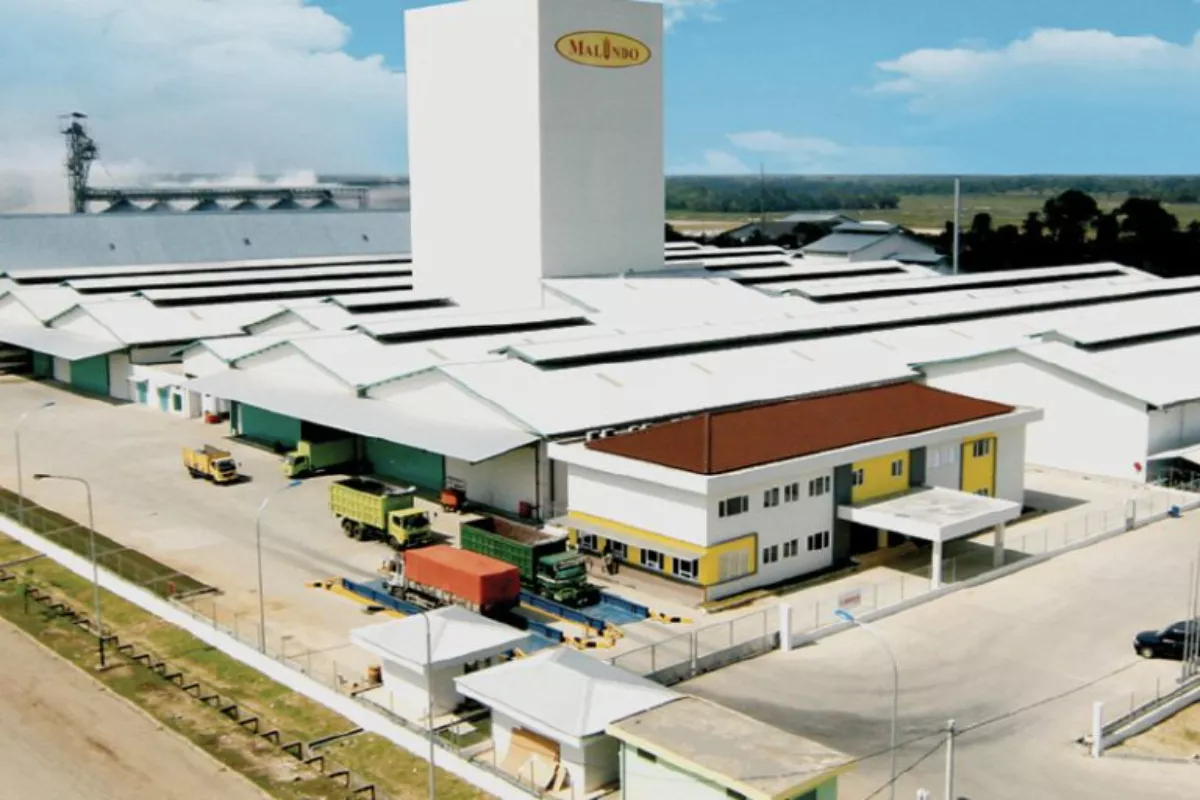 Saham MAIN Turun, Malindo Feedmill Bagikan Dividen Rp 5.200 per Lot