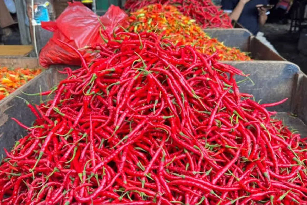 Update Harga Pangan Strategis Nasional: Cabai Rawit Rp57.250/kg