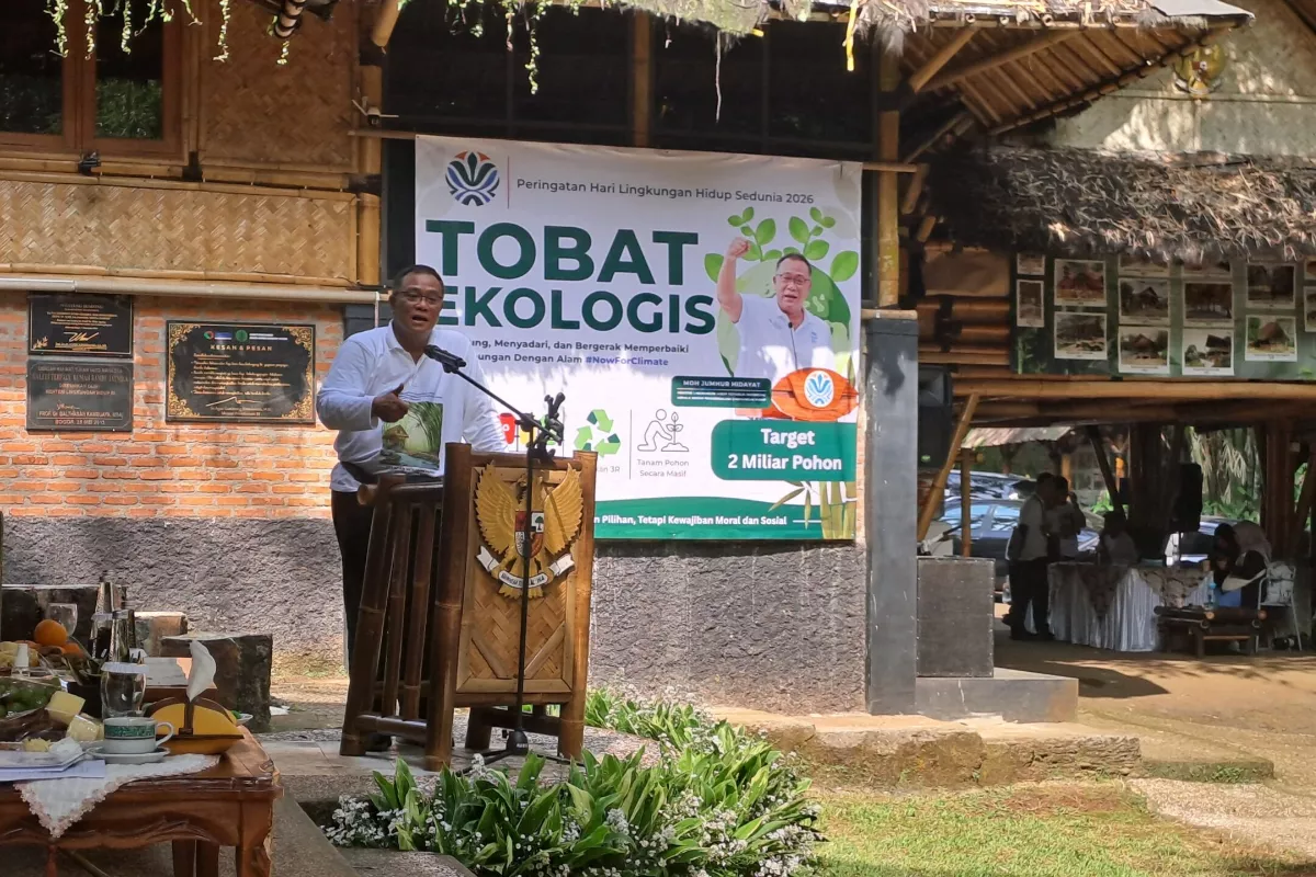 Peluang Cuan Karbon Bambu: Solusi Hijau Menteri Jumhur Hidayat
