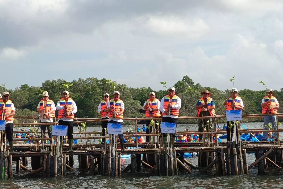 Rehabilitasi Mangrove Tambah Kapasitas Nelayan Ekowisata Bali