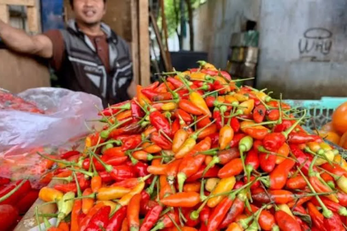Harga Cabai dan Emas Turun, Indonesia Mengalami Deflasi Sebesar 0,14%