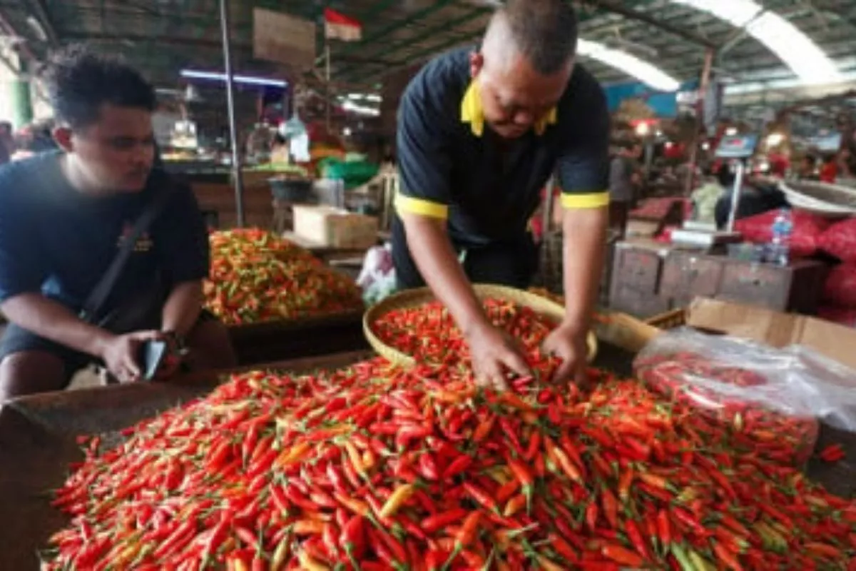 Harga Pangan Hari Ini Cabai Rawit Merah Tembus 75 Ribu Rupiah per Kg