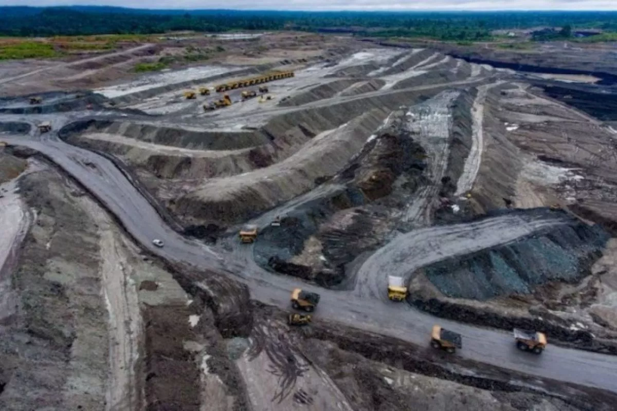 PGUN Klarifikasi Kabar Rencana Akuisisi Saham PT Bayan Resources