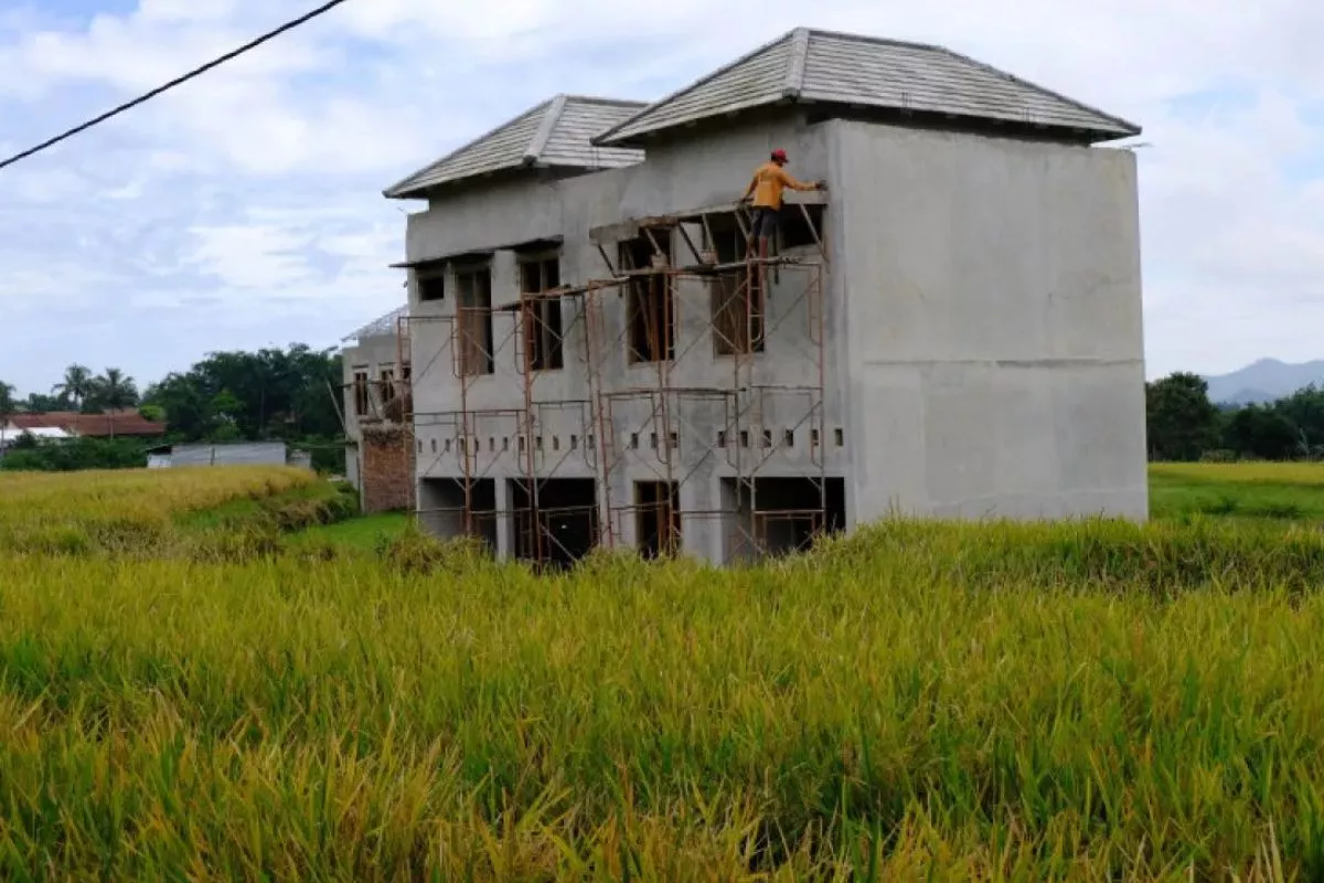 Sawah Menyusut 80 Ribu Hektar Per Tahun, Perlindungan LP2B Dipercepat