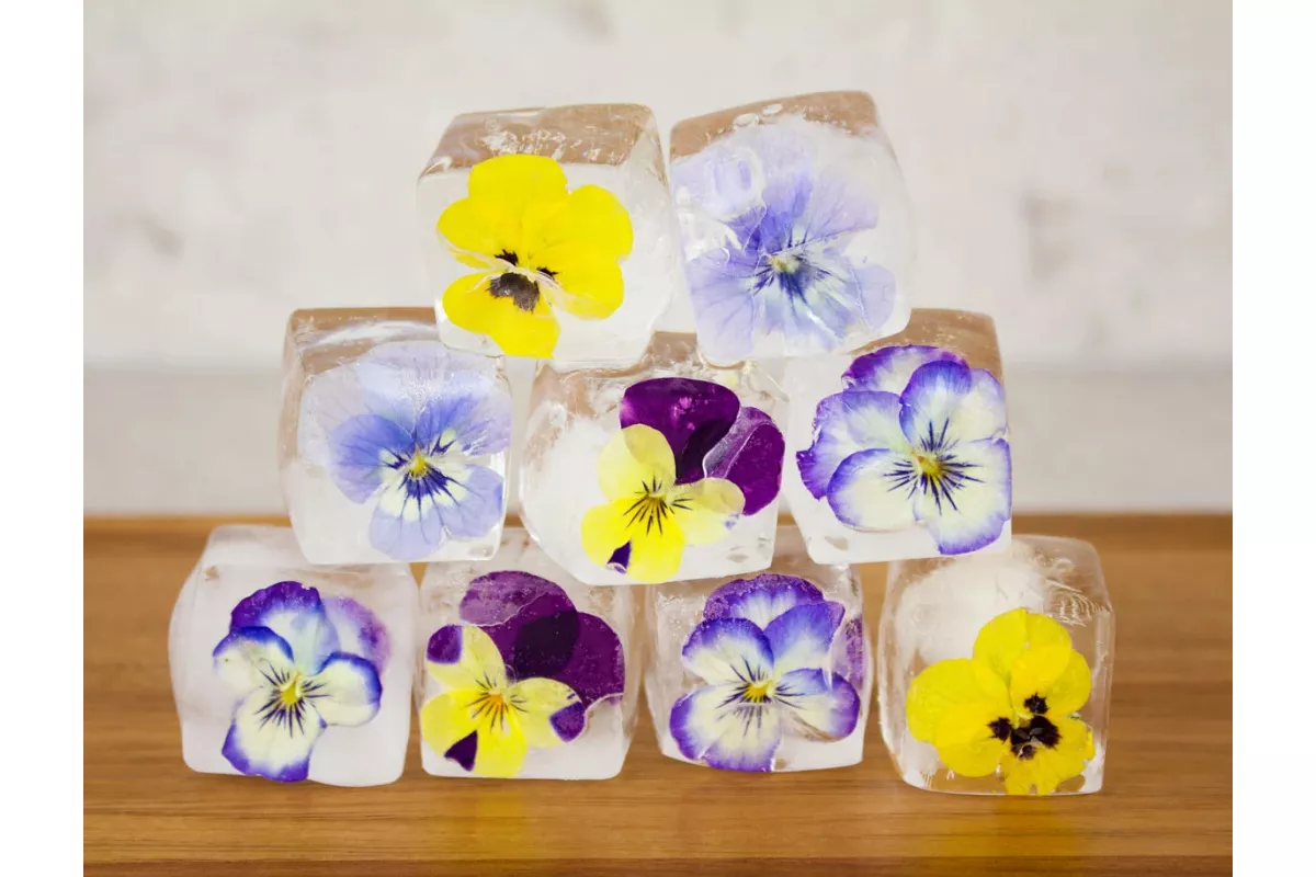 Rahasia Cara Membuat Edible Flower Ice Cubes Bening Kristal