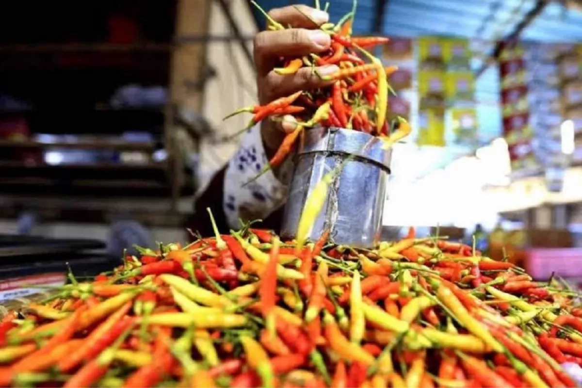 PIHPS: Harga Cabai Rawit Rp67.350/Kg dan Telur Ayam Rp29.350/Kg