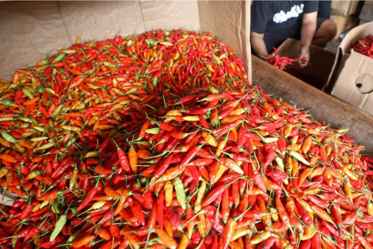 Harga Pangan Terbaru: Cabai Rawit dan Minyak Goreng Merangkak Naik