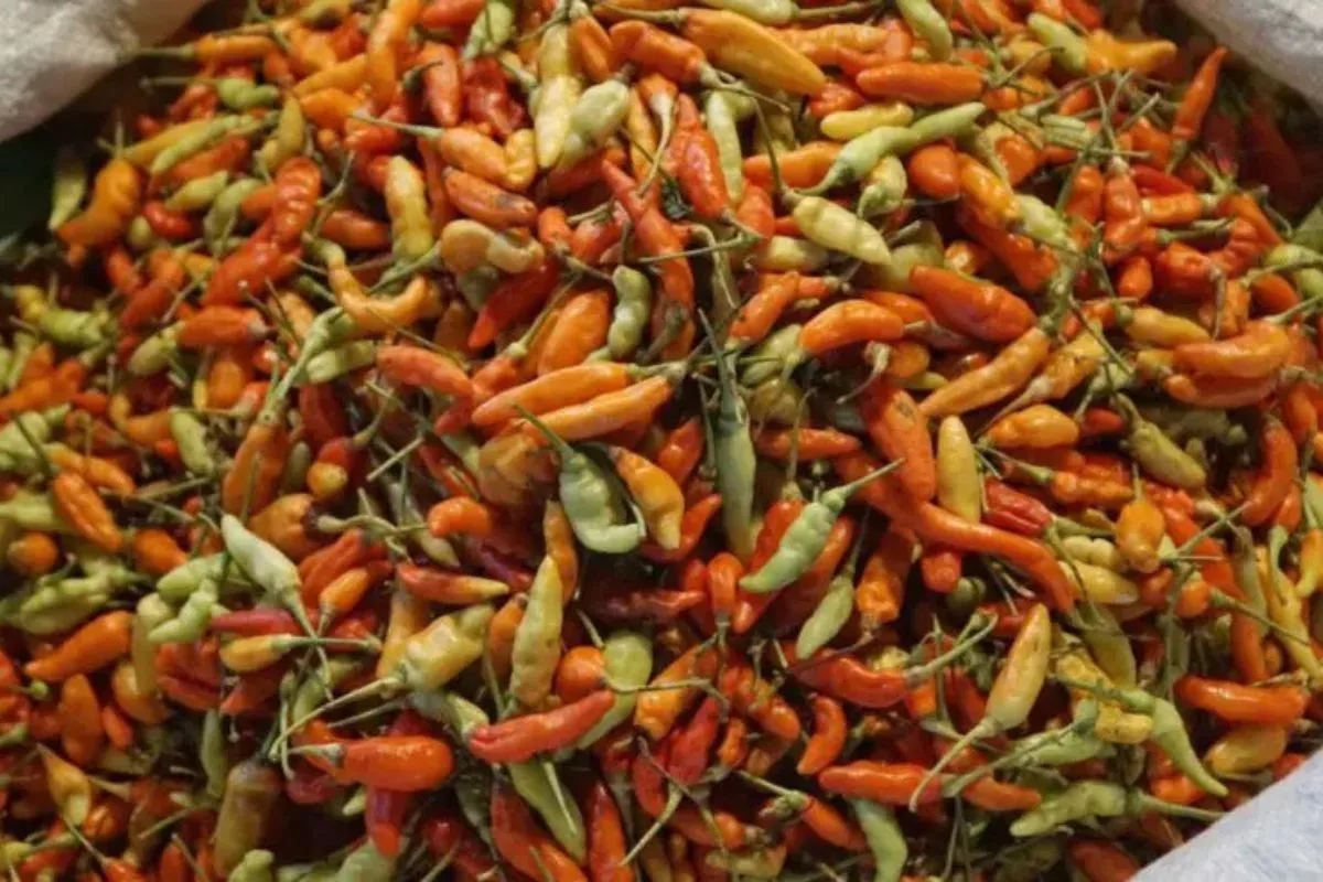 PIHPS Catat Harga Cabai Rawit Merah Sentuh Rp95.000 per Kg