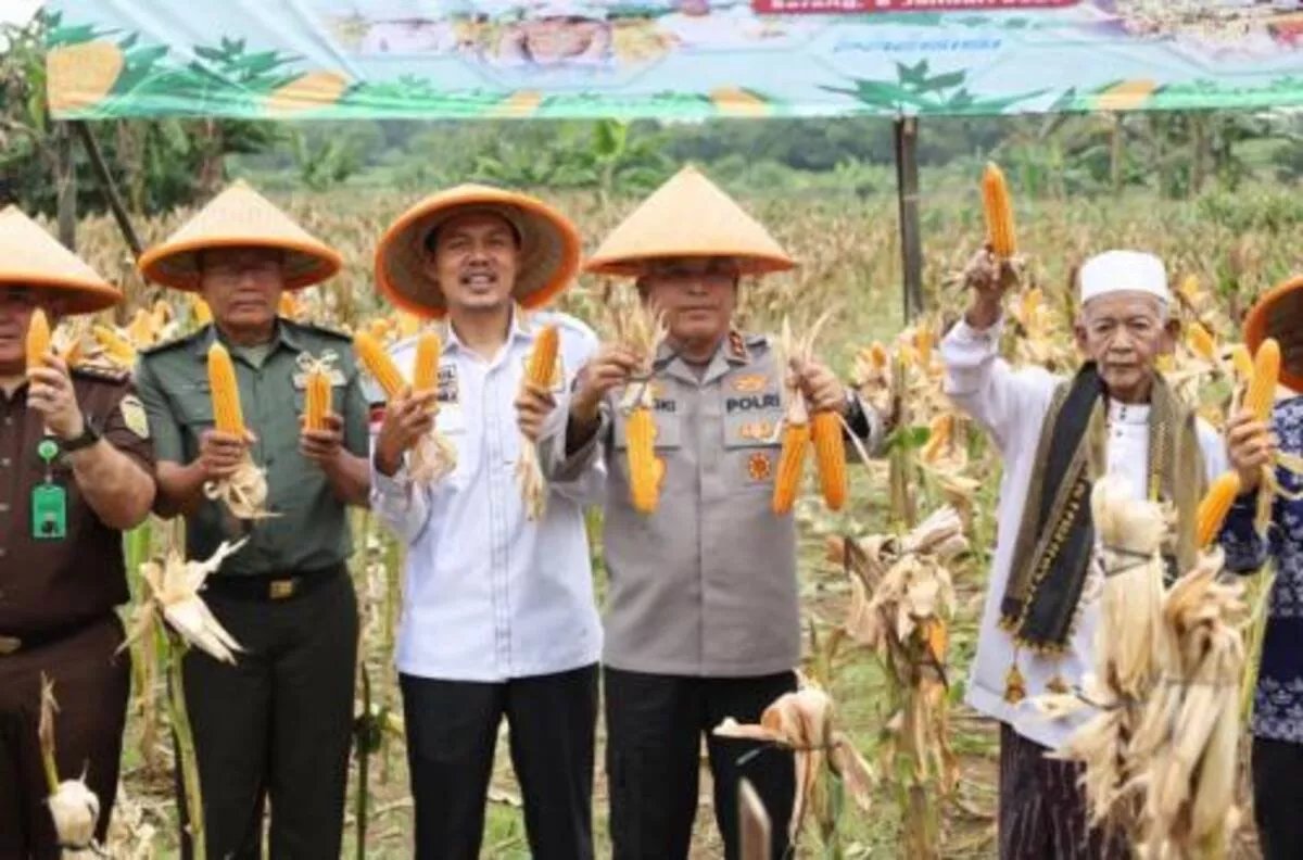 Pemkab Maluku Tengah Percepat Swasembada Pangan Melalui Potensi Lokal Kecamatan Tehoru