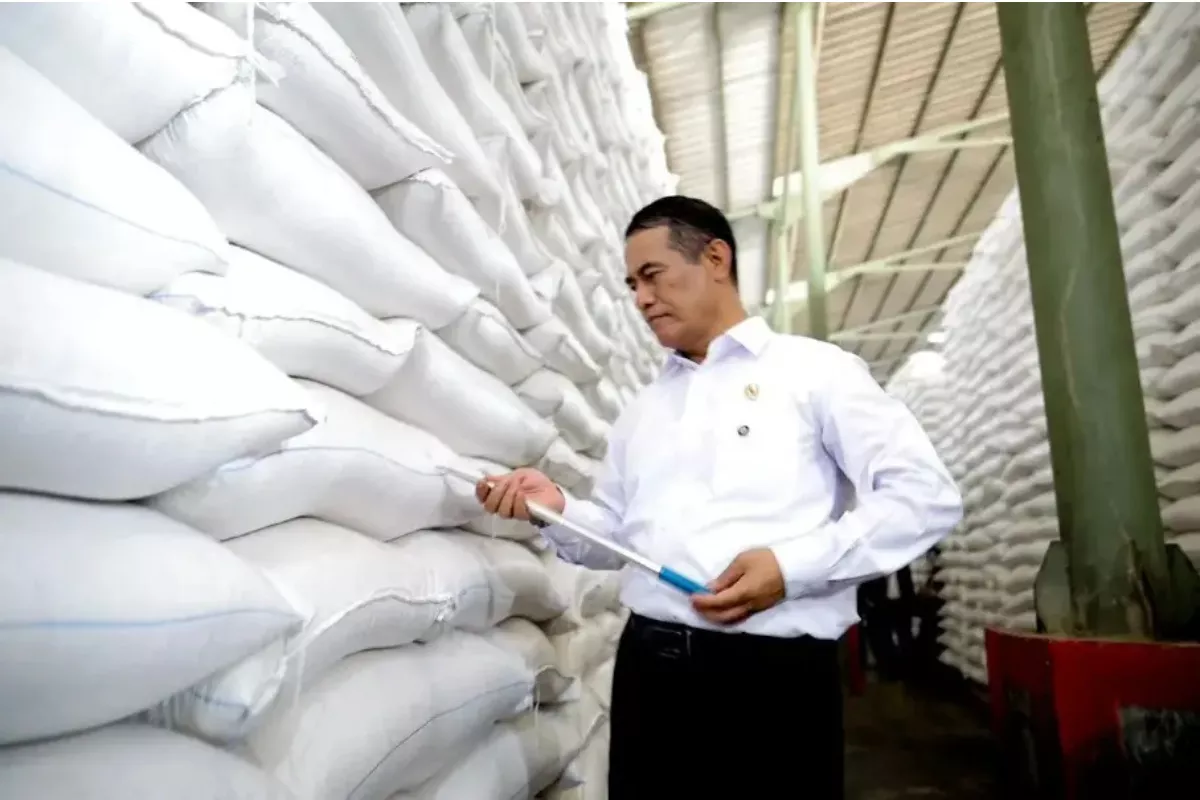 Dukung Swasembada, PTPN I Uji Coba Budidaya Bawang Putih