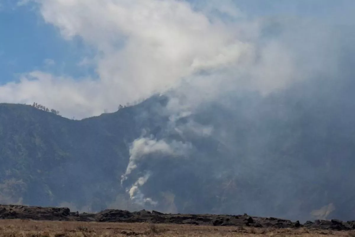 El Nino Picu Kekeringan, Bupati Puncak Larang Warga Bakar Lahan