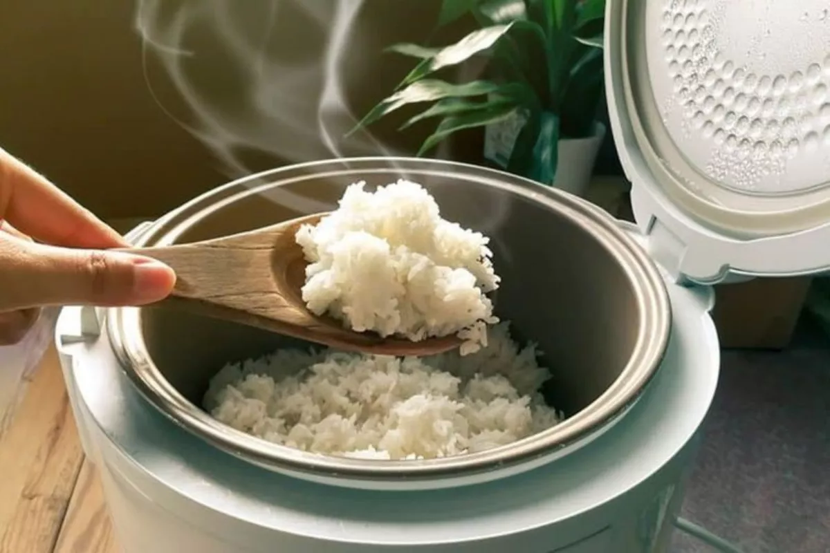 Cara Tepat Panaskan Nasi Sisa agar Tetap Pulen dan Tidak Kering