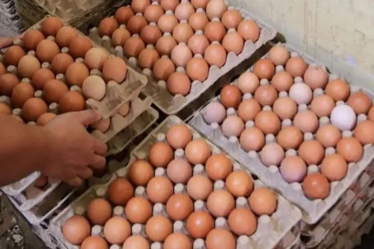Harga Ayam dan Telur Melonjak, Pedagang Bandung Minta MBG Dievaluasi