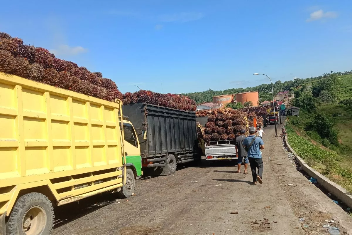 BWPT Siapkan Langkah Mitigasi Risiko Iklim dan Potensi Karhutla