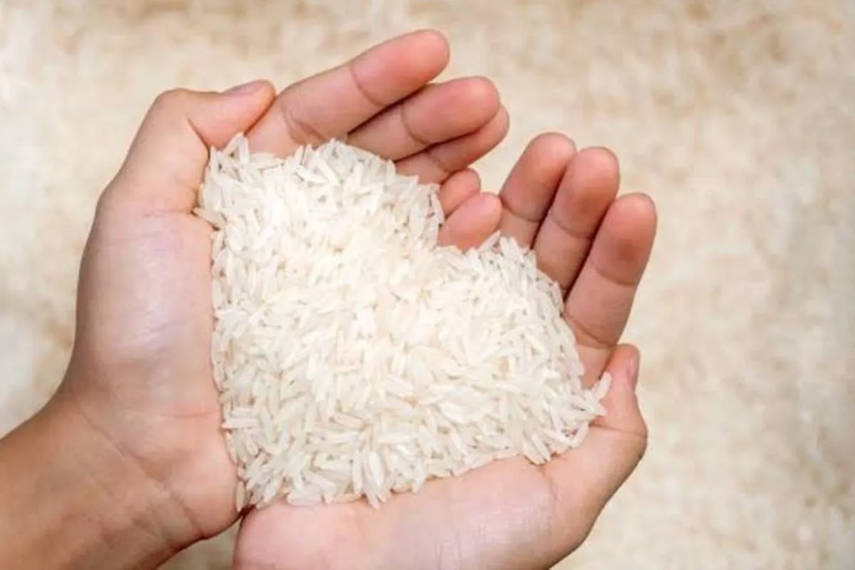 Harga Beras Naik pada Juni 2026, Jenis Premium Loncat 11,66%
