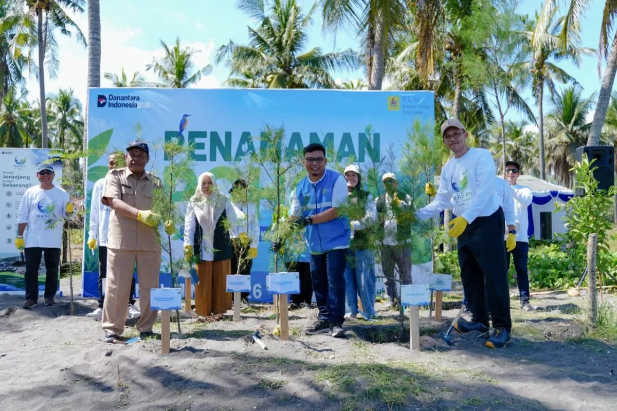 PLN EPI Perkuat Transisi Energi Melalui Bioenergi Sorgum