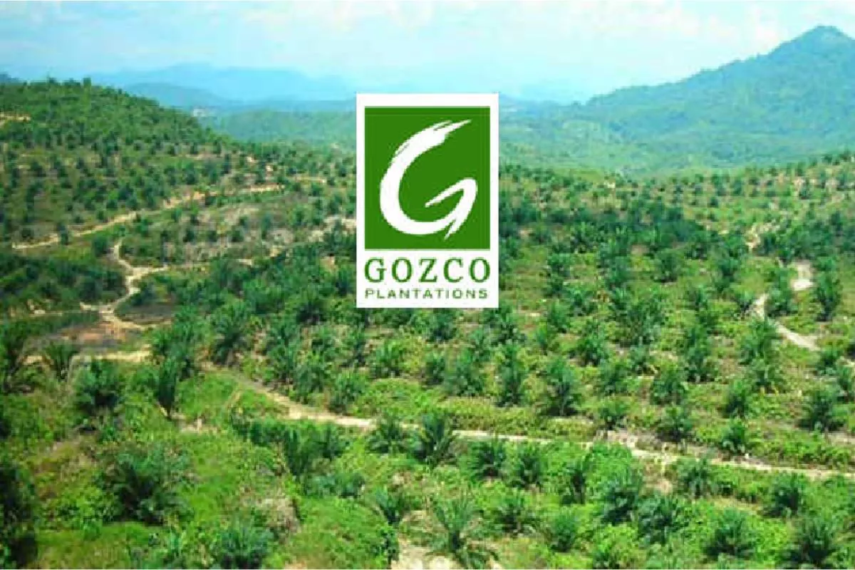 Saldo Laba Defisit, Gozco Plantations Absen Bagi Dividen 2025
