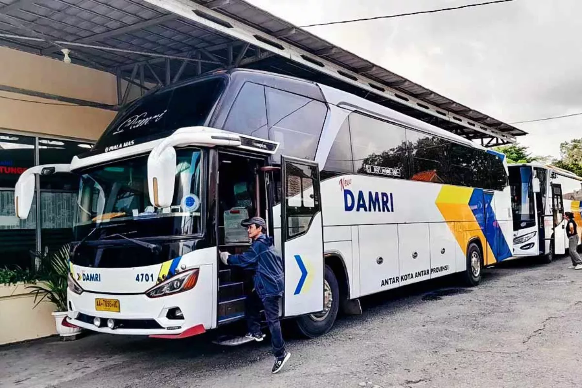 Syarat Lengkap Promo Diskon Tiket Bus DAMRI 45 Persen Agustus 2026