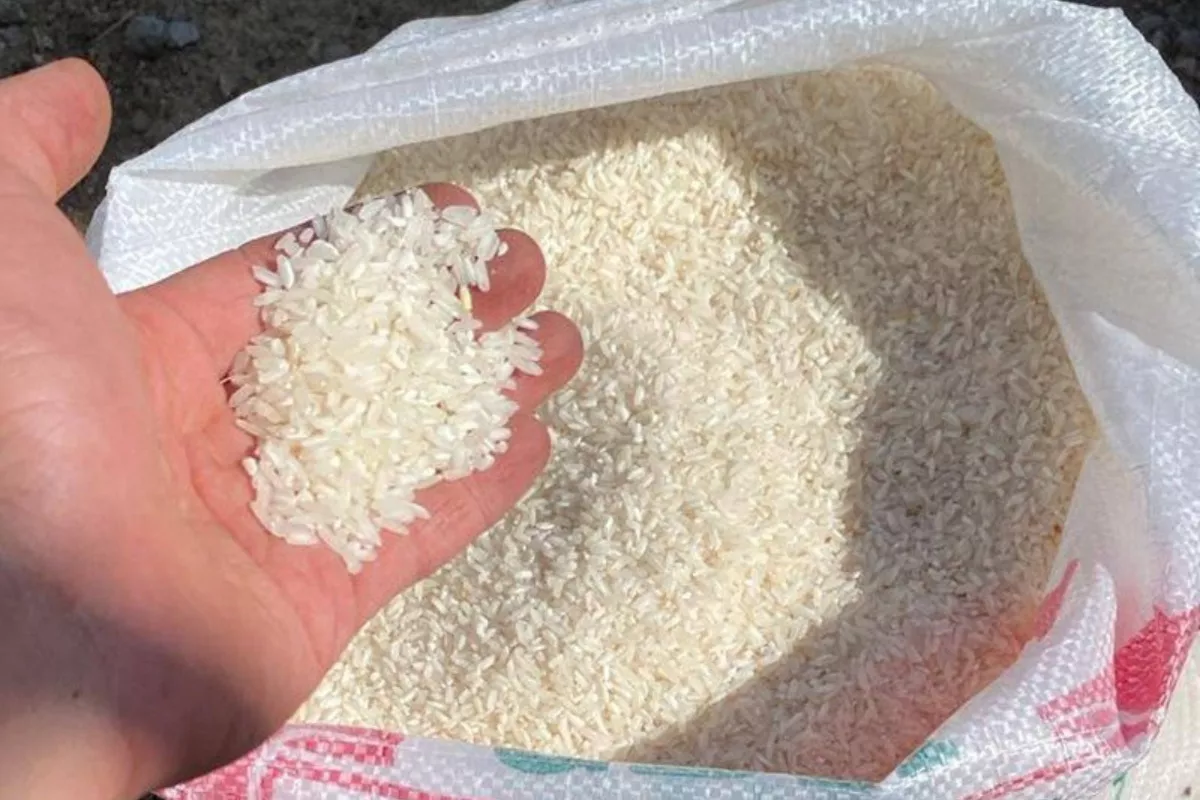 Kemarau Panjang Buat Harga Beras Melonjak sampai Rp900 Ribu Karung